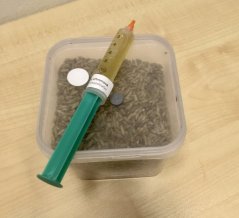 Grow kit - sterilní zrno a tekutá sadsba