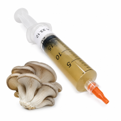 Tekutá sadba Hlíva ústřičná 10 ml