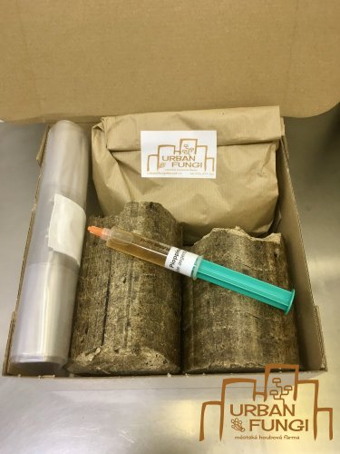 Grow kit - startovací balíček pro domácí pěstování - Druh podhoubí: Shiitake