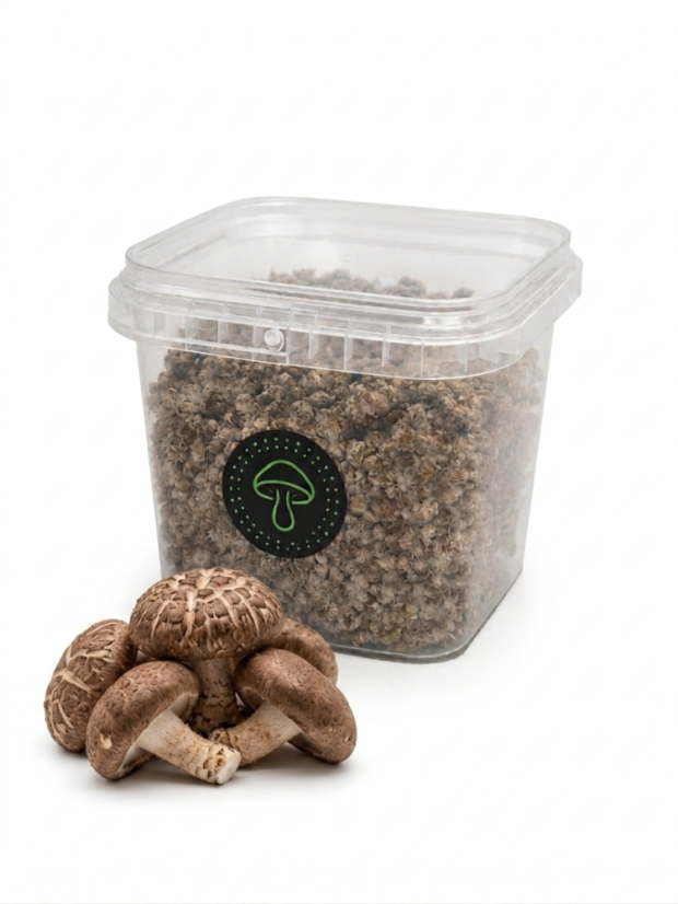 Zrnitá sadba Shiitake - Objem 1 litr