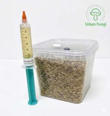 Grow kit - sterilní zrno a tekutá sadsba