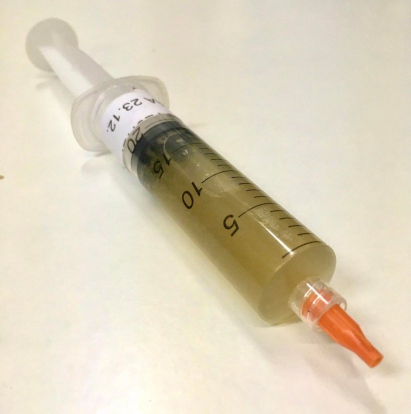 Tekutá sadba Shiitake 10ml