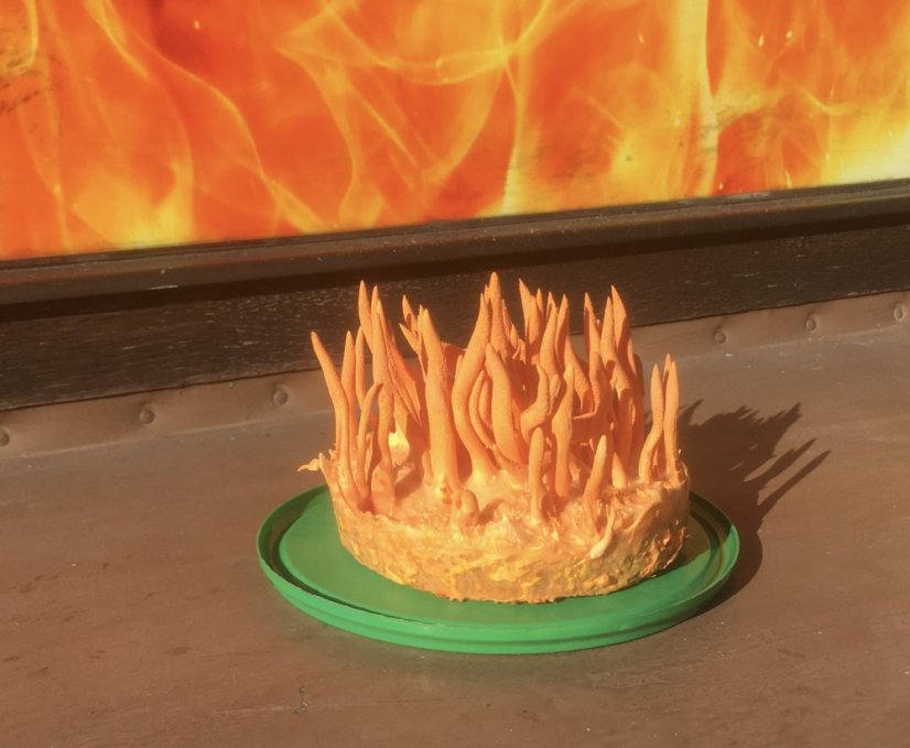 Tekutá sadba Cordyceps - housenice červená