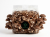 Substrát Shiitake