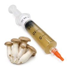 Tekutá sadba Eryngii 10 ml