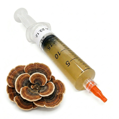 Tekutá sadba Outkovka pestrá - Turkey tail - 10 ml