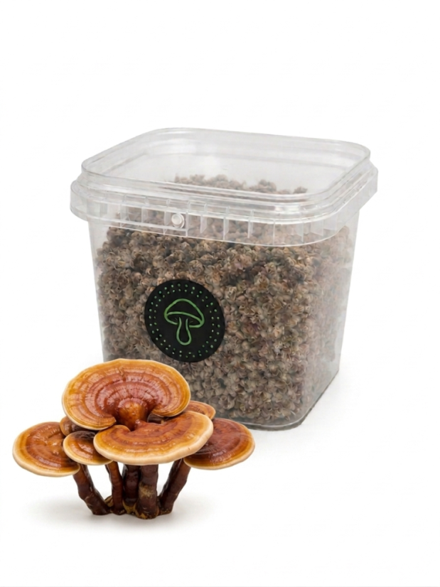 Zrnitá sadba Reishi - Objem 1 litr