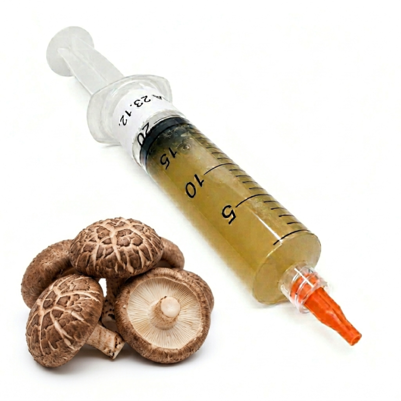 Tekutá sadba Shiitake 10ml