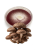 Mycelium Shiitake
