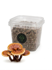 Zrnitá sadba Reishi - Objem 1 litr
