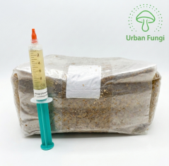 Grow kit - substrát s tekutou sadbou